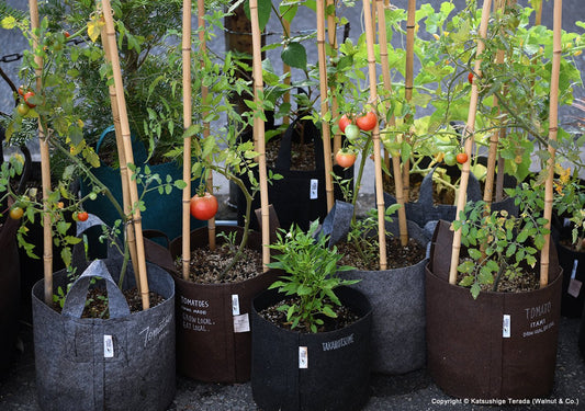 Textiltöpfe: Die Vorteile und Nachteile im Überblick